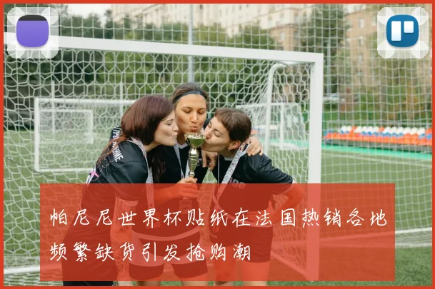 帕尼尼世界杯贴纸在法国热销各地频繁缺货引发抢购潮