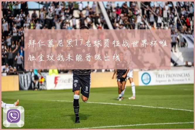 拜仁慕尼黑17名球员征战世界杯唯独金玟哉未能晋级出线