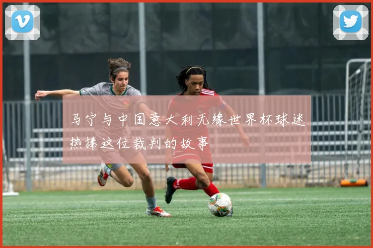 马宁与中国意大利无缘世界杯球迷热捧这位裁判的故事
